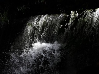 1306571