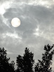 1306560