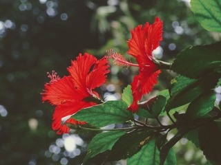 B2DE711F-36D9-4FC5-BDC5-7AB241E9720F/L0/001
