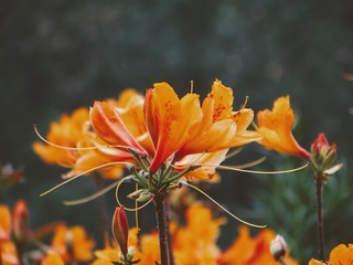 12C1BF03-1762-4801-AB22-E696D89A8A68/L0/001