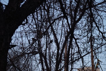 1C79B102-B374-426F-845A-816BC85D7CF6/L0/001