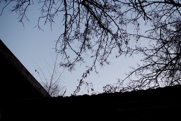 B8879596-1DED-43A4-8218-30B206E82FD0/L0/001