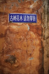 6565D2D1-4DCB-485F-B5AB-977FF1375813/L0/001
