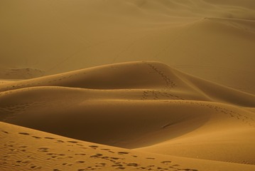 659073