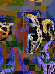 7FB0E89D-1DB5-4745-97C2-D87C1D1BA02A/L0/001