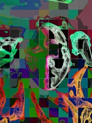 1466D3FE-EB1C-4883-8D1A-3C51A5C9301F/L0/001