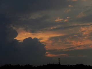 1000268279