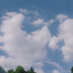 1000243805