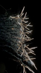 38A30C9C-3CE7-4308-8E59-7C36BDF30044/L0/001