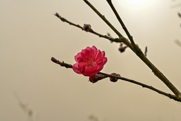 78F569E7-CB4A-4F13-971E-94D18BCF1522/L0/001