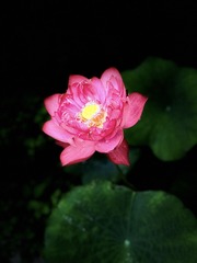 0B521107-0A5D-48EC-880D-533EA8508833/L0/001