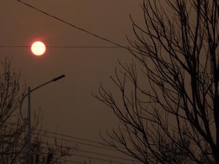 964D7587-5861-46F1-84E3-BC9E9E7B827A/L0/001