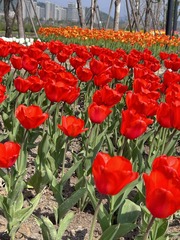 29753C76-756D-4577-BD6E-87AA4F5AB4C2/L0/001