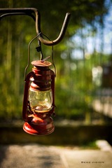 L1020777水印noexif.jpg