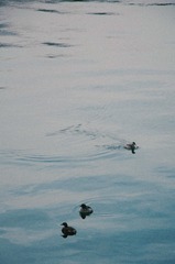 6C7E12F0-0325-40AC-8E12-C377F93A8822/L0/001
