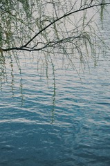 A43B6EDF-4C69-4B07-90D5-F57C661832D8/L0/001