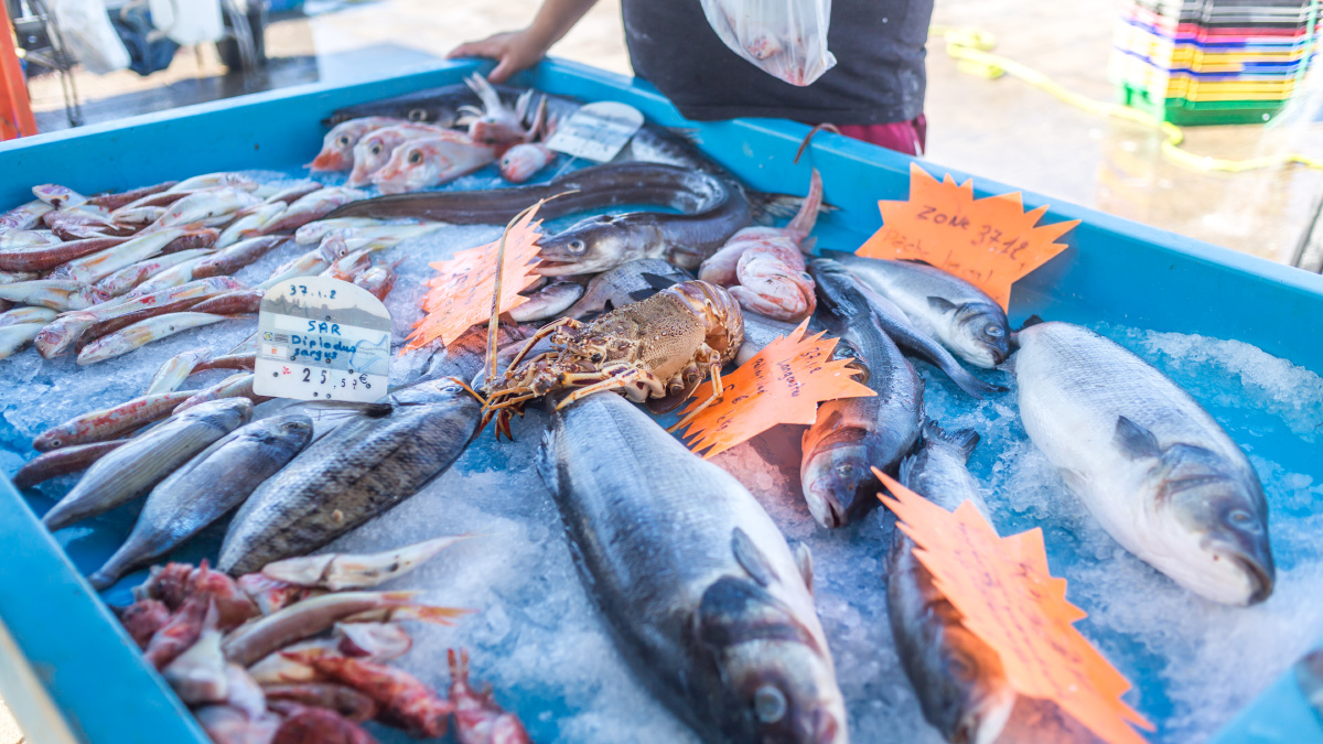 马赛鱼市