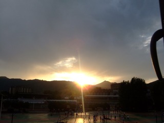 130629