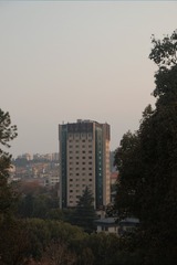 1000029991