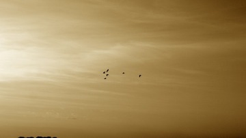 1B6D5D59-B08A-451F-A56D-C6683D128828/L0/001