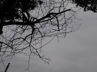 72319F5A-90B1-4F6A-8A40-EB6CB27A0E25/L0/001