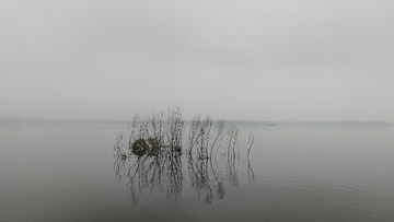 505372