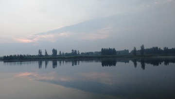 527331