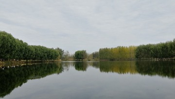 1415464