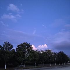 2495867