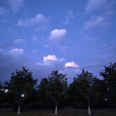 2495865