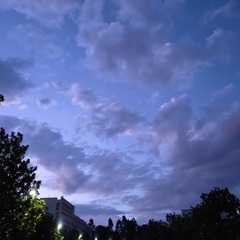 2495864