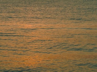 A84B614D-7FD3-4F74-8011-B610B28887FF/L0/001