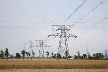 E3967066-EEE8-47D8-9C88-F5288A23790D/L0/001