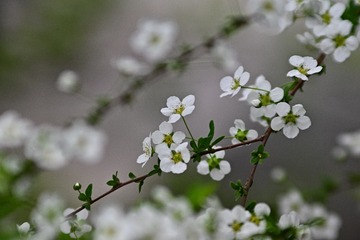 975320