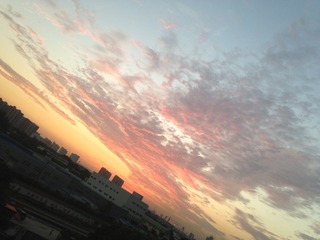 6CB6F72E-FD4A-4945-8B27-E7770990AD8B/L0/001