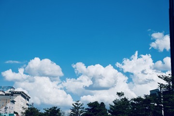 30B3DB6F-065A-4E95-8B9B-68FC6C790343/L0/001