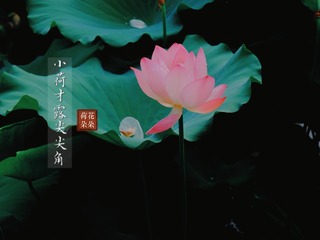 F8C3E8C2-FDEC-4747-9E12-4ECD2EDB2CEA/L0/001