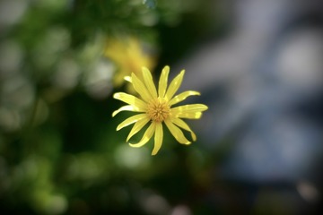 F44663FC-A840-40F7-B318-08E4A02B971B/L0/001