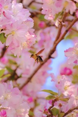 9D944519-A29F-4B47-8F0E-0D84093CCFD2/L0/001