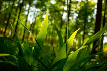 17C773B0-D591-4594-A19C-5253335F130B/L0/001