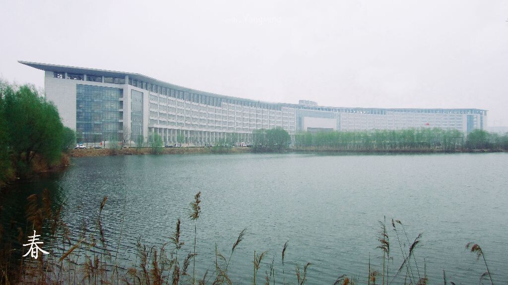 春生