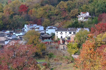 3452ADDB-2DE8-4047-8F63-70FD5ACFB795/L0/001
