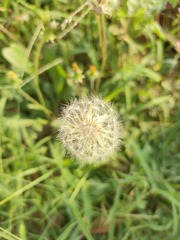 1000005016