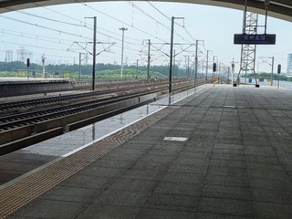 1000001909