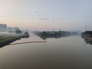 1000019805