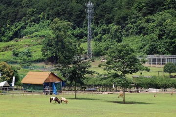 154E082E-72DB-4361-9086-9CF9FAC00795/L0/001
