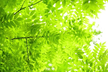 3D48C0A6-D9E8-444E-AAC5-C25AFBB47C1B/L0/001