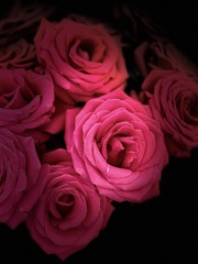 DFEED26F-4322-41A8-BADE-E2738D991392/L0/001