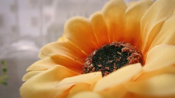 FA3E24B3-632A-4DC8-932B-371640D270E3/L0/001