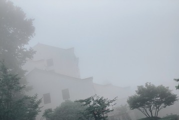 BF61A9D5-935B-4C0A-800A-783B0613123D/L0/001